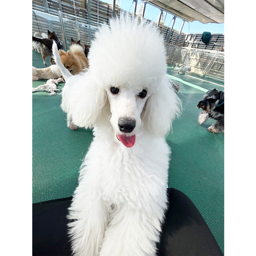 生徒が撮影した写真を送ってくれました！①